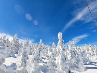 今年も来ました志賀高原！全エリアが滑れるのでいろんなコースを満喫できます！！