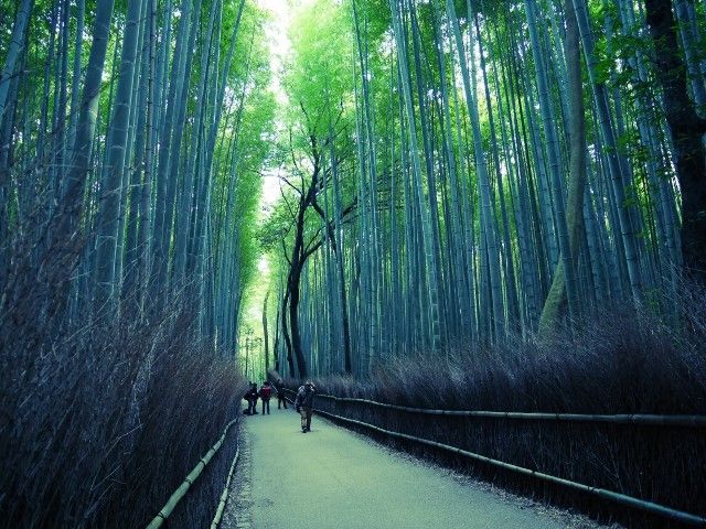 京都嵐山地域でのお仕事です♪