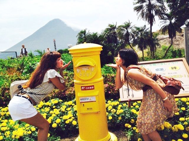 1月から菜の花が咲き、九州で一番早く春を感じられます(*＞▽・*）