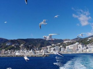 ≪静岡/熱海≫人気温泉地での調理のお仕事です！高時給でガッツリ稼げます！