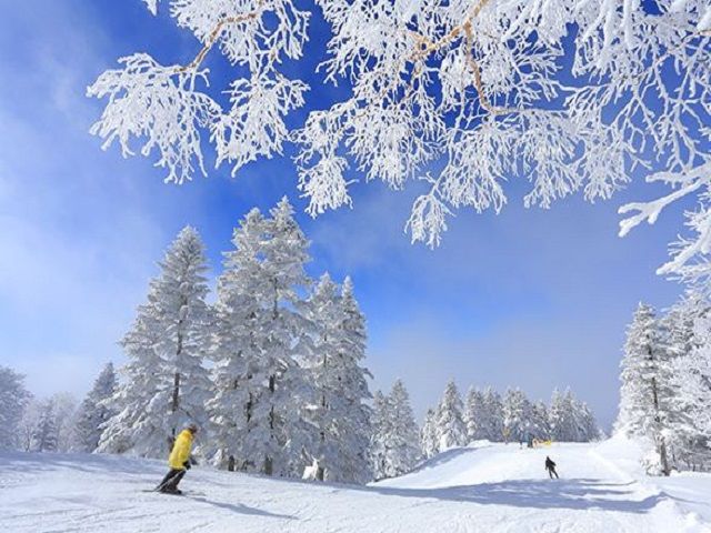 渋峠横手山スキー場が滑り放題（＾０＾）♪