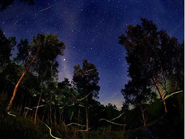 夜の星空は最高ですよー☆★