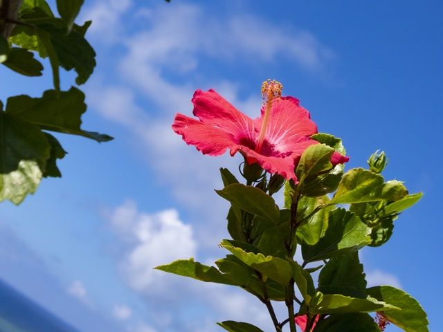 石垣島なら、映える写真がたっくさん撮れちゃいます★ 最高の思い出を作ろう♪