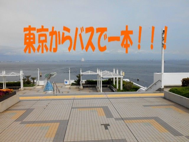 東京からホテルまでバスで一本！！時間は多少掛かりますが･･･アクセス良好です（＾＾）