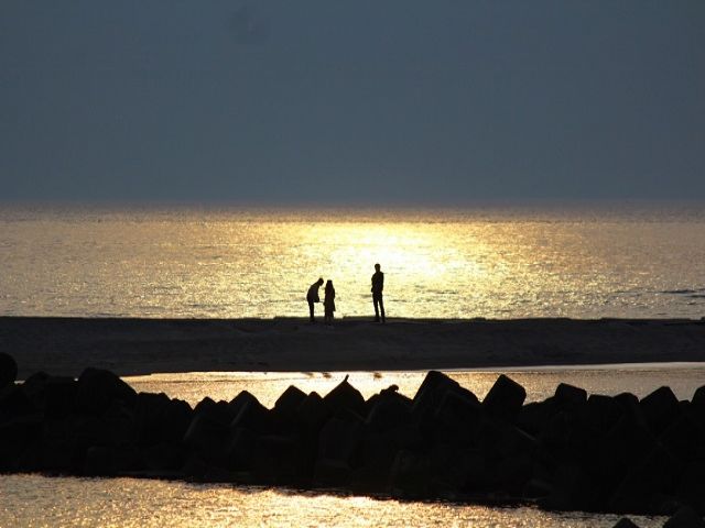 日本海の幸盛りだくさん