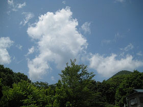 自然が豊富で海も山も楽しめるエリアです！
