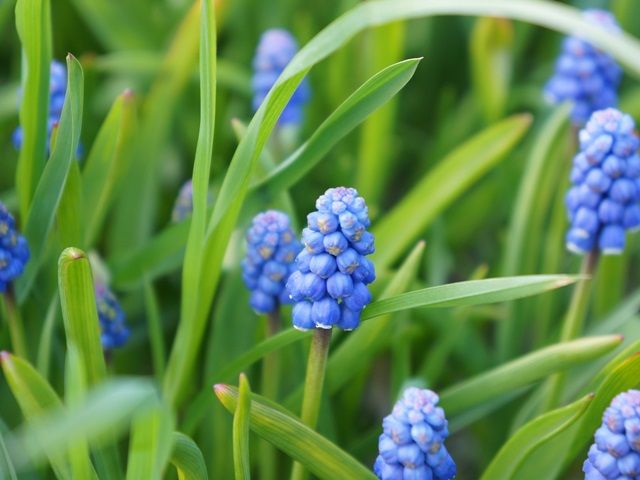 サイクリングロードや釣りスポット、綺麗な天の川などなど、ここでしか体験できないことが沢山！