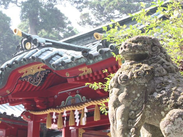 箱根を好きになれる観光スポットがいっぱい^^