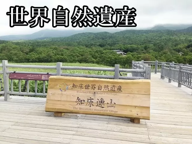 夏にしか見ることのできない魅力がたくさん！！