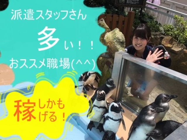 生活便利♪お休みの日は観光に出かけましょう★