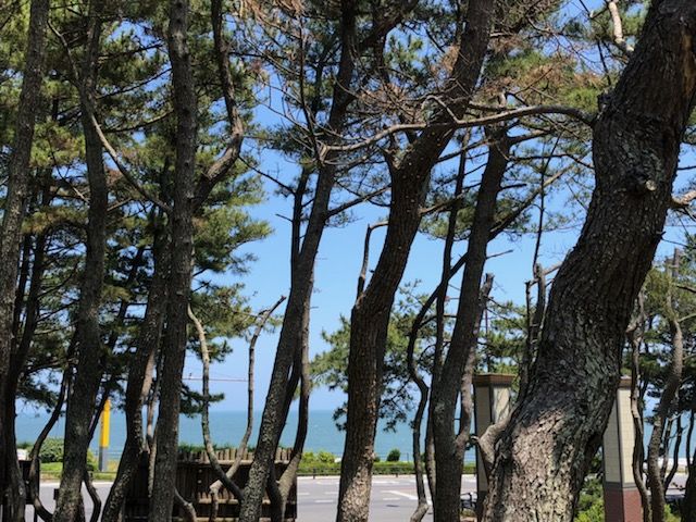 目の前には海が広がっています！