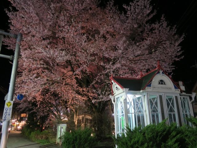 軽井沢駅からは、シャトルバスがでています！