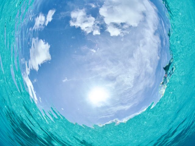 とーても透明度の高いケラマブルーを大満喫♪魅惑のケラマで是非ダイビングを味わって下さい～♪