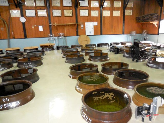 屋久島は焼酎も人気！三岳は格別です！