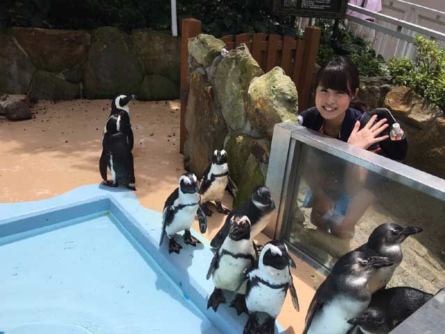 ちょっと気分転換に水族館に足を運んでみては？実は近くに2箇所もあります（笑）