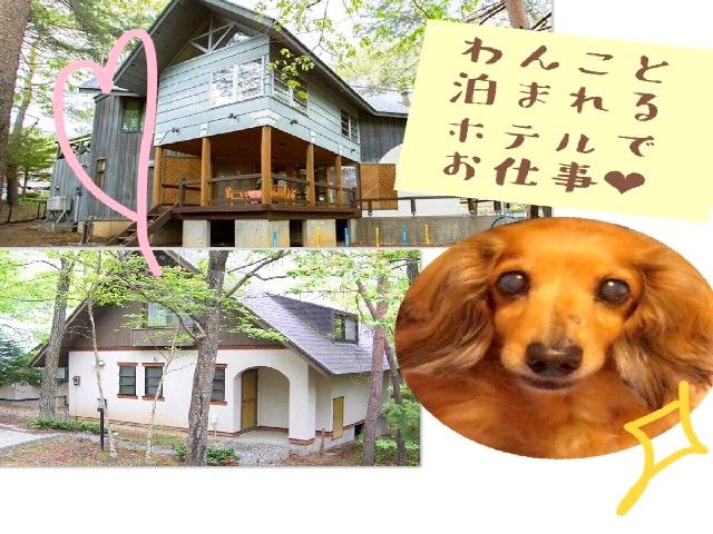 わんちゃんと一緒に泊まれるお宿でのお仕事★☆
かわいいわんちゃんにも出会えちゃう！