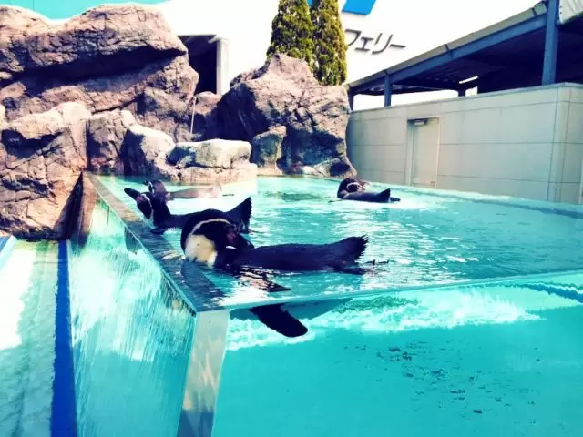 【観光スポット】鳥羽水族館や御木本幸吉記念館などの観光スポットがございます！