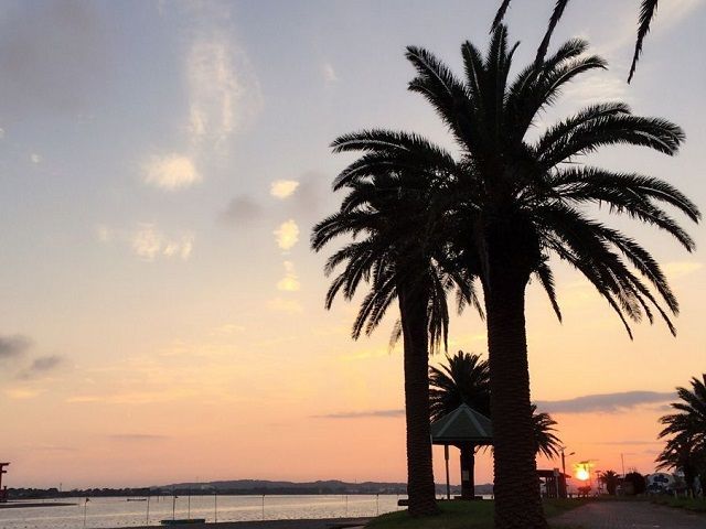 目の前は三河湾が広がっております!!
景色抜群!!