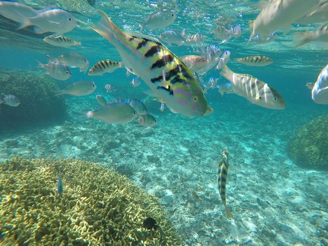 休日は気軽にマリンアクティビティが楽しめる♪