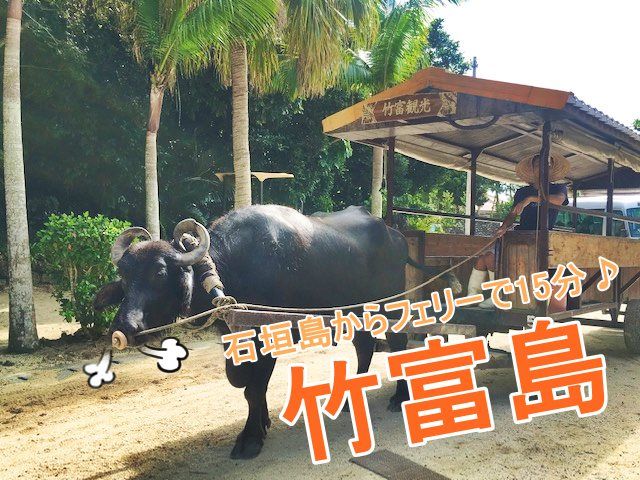 石垣島からも近く、THE OKINAWAなオススメ離島です♪