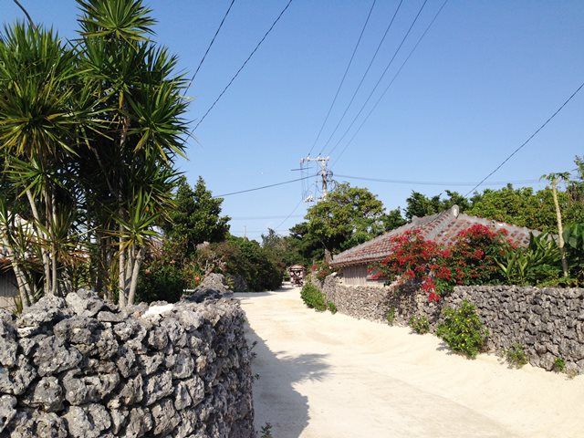 島内は、水牛に乗ってもよし！サイクリングもよし！