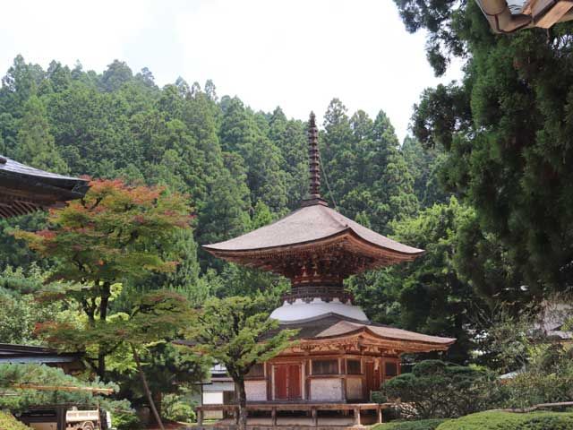 散策にいかがですか？