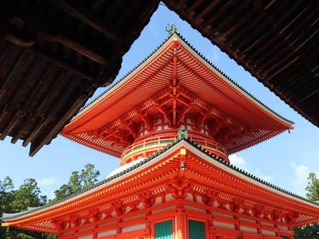 パワーを感じて下さい！！！