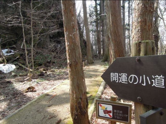 幸せになれる小道発見！
十和田湖畔には遊歩道が設置されているのでブラブラには最適♪