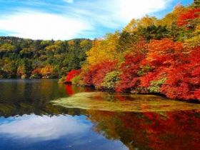 美しい自然が売りのホテルです!!
空気もキレイでリフレッシュには最高★☆