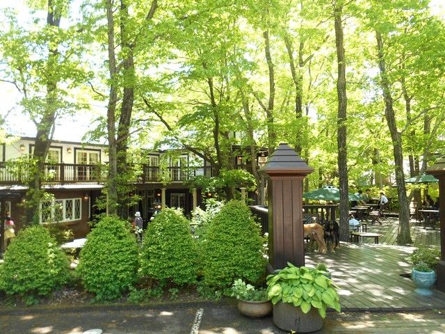 店舗の周りは森の中にあるような素敵な雰囲気です