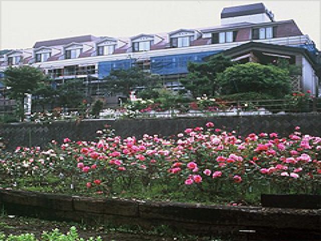 約1000坪のハーブ・ローズガーデン！100種類のお花が咲いています！！！