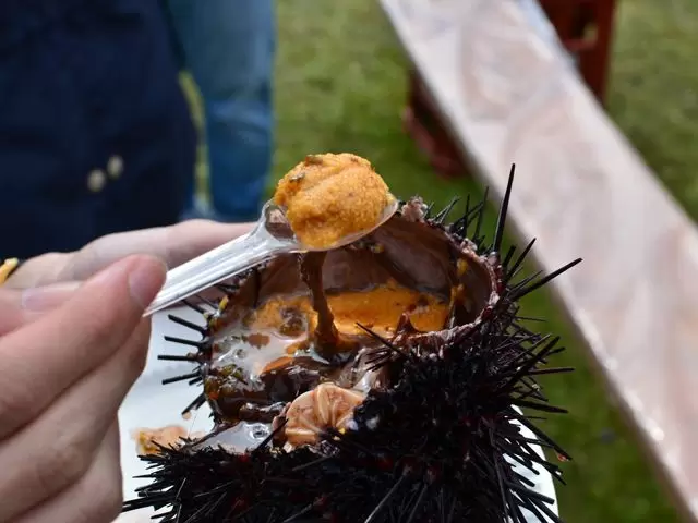 至高の贅沢！日本一のウニが食せる島「利尻島」