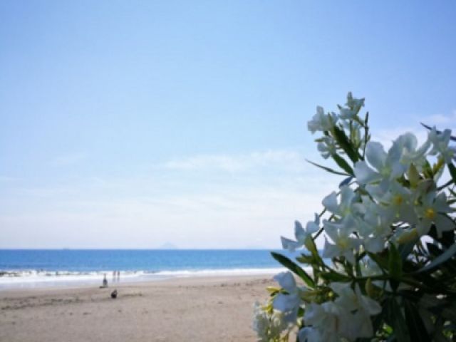 一番の魅力は海が目の前!!ビーチは8/中までは海水浴も楽しめます☆