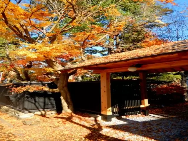 紅葉シーズンの有名スポットも満喫できます♪