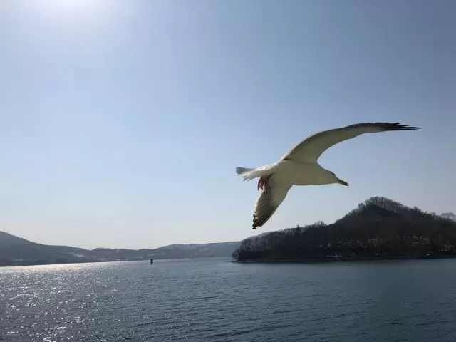 休日は観光の拠点としても！札幌や函館に近い♪