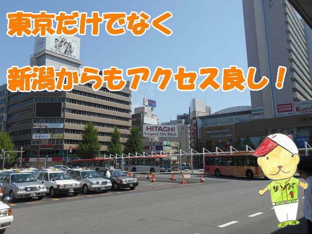 東京などからのアクセス重視の方にお薦めです。