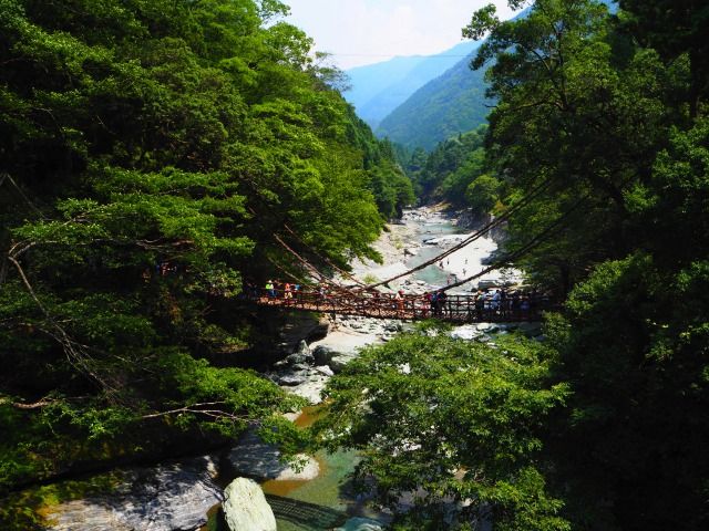 自然の中でお仕事できます！