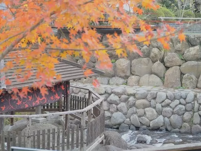 秋には紅葉も楽しめます♪♪