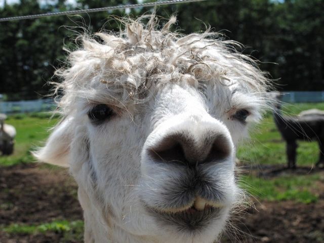 ★休日は観光にも行って下さい