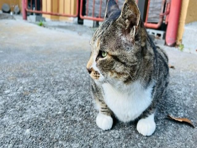 のんびりした時間を過ごしましょう☆