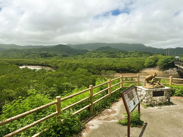 空、海、緑。美しい景色が見放題！