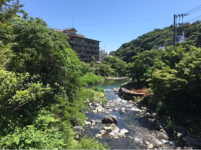 箱根エリアの中でも芦ノ湖にも近く、自然豊かなエリアです。
