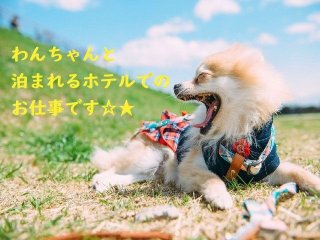 ガラス張りのスタイリッシュなレストランでお仕事＊。コテージを個室でご利用いただけます☆