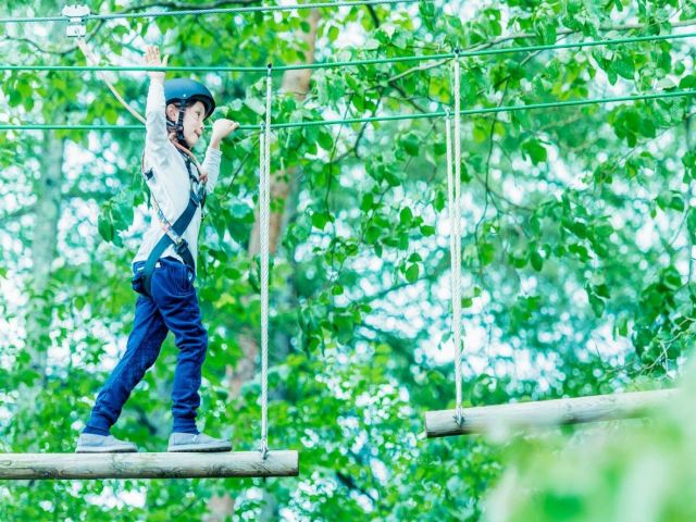 珍しいアクティビティのお仕事！