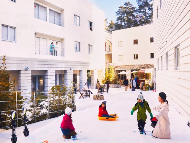 珍しいアクティビティのお仕事！