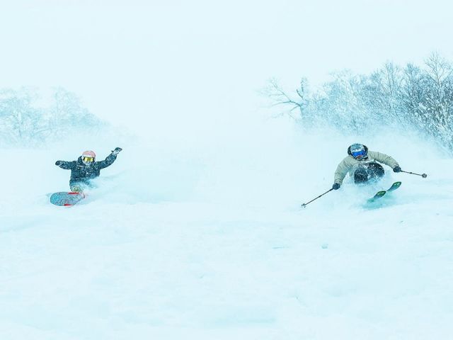 Japan's Best Ski Resort最優秀賞を受賞した最高のパウダー！