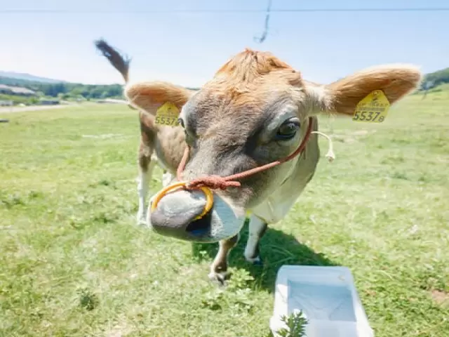 ★アクティビティもあるホテル様です★
ここでしか出来ない経験があります！