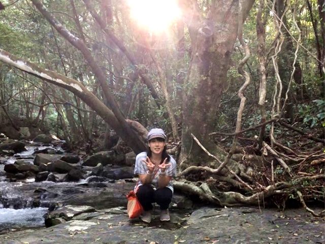 世界自然遺産にも選ばれた西表島！入島制限を設けるほど注目されている離島です！