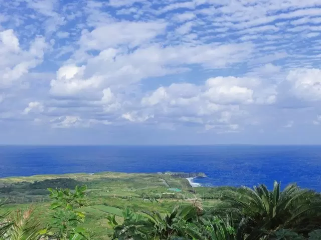 独自の生態系が残る、沖縄本島北部の『やんばるの森』は世界自然遺産にも登録されています！