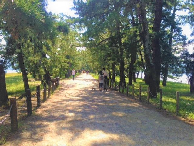 天気のいい日は最高ですよ♪